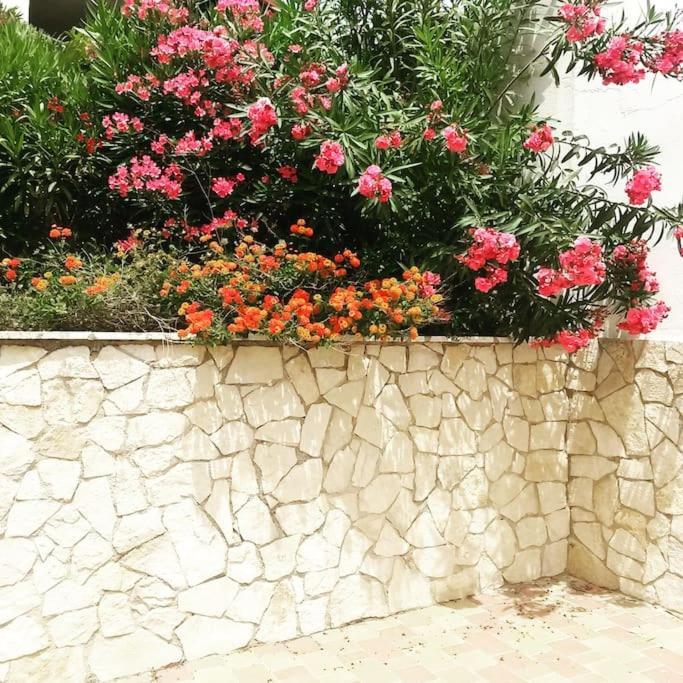 Holiday home Villino Porto Miggiano